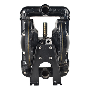 YZ�߉���Ĥ��